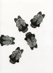 Réunion de Bourdons, 2013 (gravure sur bois sur papier) - Bella Larsson