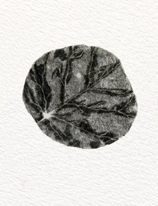 Feuille, 2014