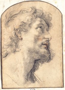 Étude de la tête de Saint Crispin - Benedetto Luti