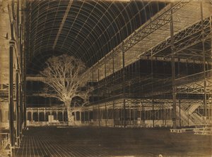 Palais de Cristal, Hyde Park, Transept, 1852