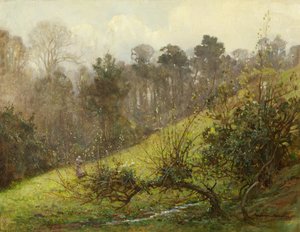 Oies et oisons - Benjamin Haughton