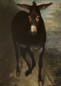 Un âne sicilien - Benjamin Haydon