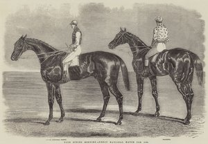 Réunion de printemps à York, Grand match national pour 1000 £
