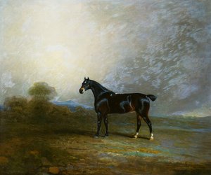 Bembo, un chasseur favori de Charles Shuttleworth, Esq., 1802 - Benjamin Marshall
