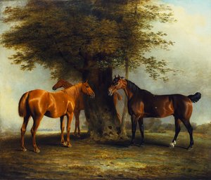 Chasseurs à l