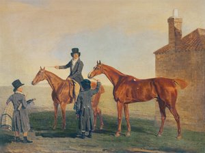 Bruant Jaune, c.1800