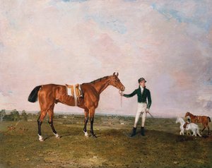 "Zinganee" tenu par Sam Chifney Jr. à Newmarket, 1829 - Benjamin Marshall