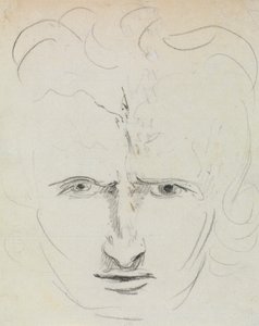 Étude du visage expressif d