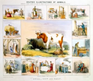 La vache, vers 1850