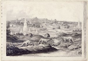 Le Crystal Palace