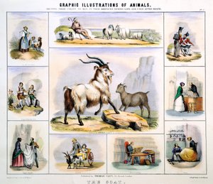 La Chèvre, vers 1850 - Benjamin Waterhouse Hawkins