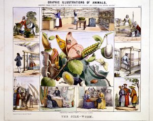 Le ver à soie, vers 1850