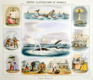 La Baleine, c1850