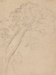 Étude de costume pour le portrait d
