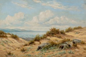 Dunes de sable sur le Conwy