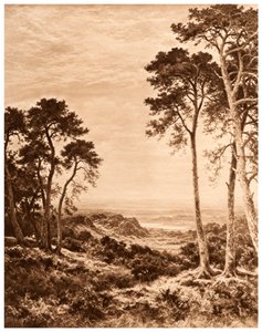 Coucher de soleil après la pluie, 1903