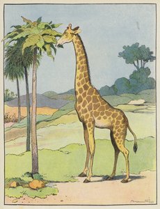 Girafe - Benjamin Rabier