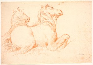 Deux hippocampes - Benoît Le Coffre