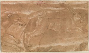 Un chien chassant un lièvre