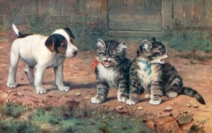 Carte postale de chat - Bernard Cobbe