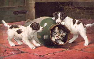 Carte postale de chat - Bernard Cobbe