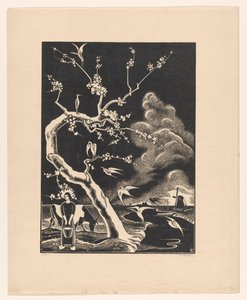 Arbre avec des hérons