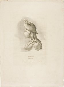 La Bouchère, des Arts et Métiers