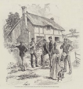 Les étranges aventures d