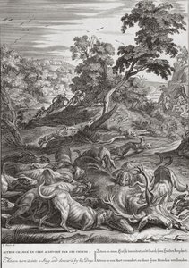 Actéon transformé en cerf et dévoré par ses chiens, 1731 - Bernard Picart