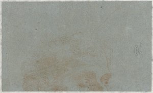Partie de la tête d