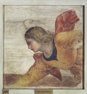 Ange - Bernardino Luini