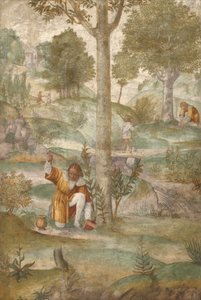  - Bernardino Luini