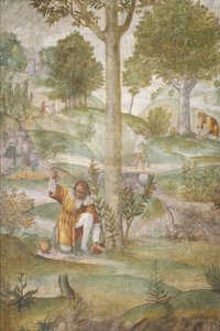 Céphale cachant les bijoux, c. 1520-1522 - Bernardino Luini