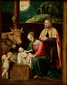 La naissance du Christ - Bernardino Luini