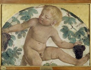 Putti récoltant - Putto sous une pergola, c.1514 (détaché et monté sur panneau) - Bernardino Luini