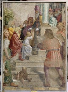 Présentation de Marie au Temple - Bernardino Luini