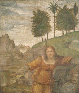 Procris percée par le javelot de Céphale, vers 1520-1522 - Bernardino Luini