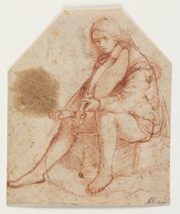 Jeune homme assis avec une viole - Bernardino Luini