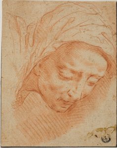 Tête de femme - Bernardino Poccetti