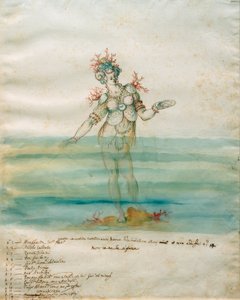 Nymphe marine