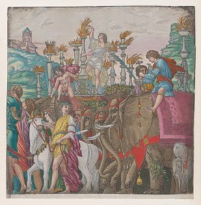 Feuille 5 : Éléphants, des Triomphes de Jules César - Bernardo Malpizzi