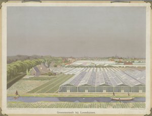 Culture de légumes à Loosduinen - Bernardus Bueninck