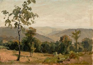 Vue sur les montagnes du Neckar près de Heidelberg