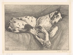 Chien endormi - Bertha van Hasselt (signed by artist)