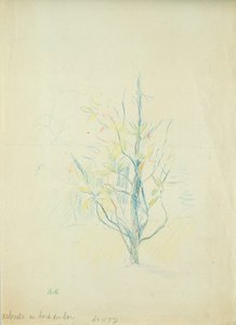 Buissons près du lac, 1893