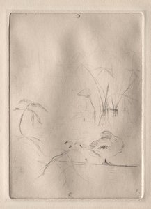 Le Canard - Berthe Morisot