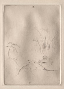 Le Canard - Berthe Morisot