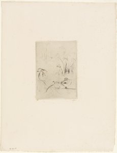Le canard - Berthe Morisot