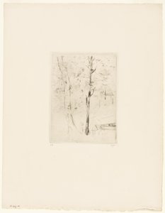 Le lac du bois de Boulogne - Berthe Morisot