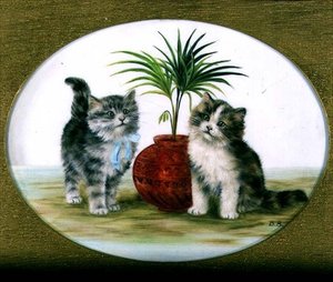 Chatons près d